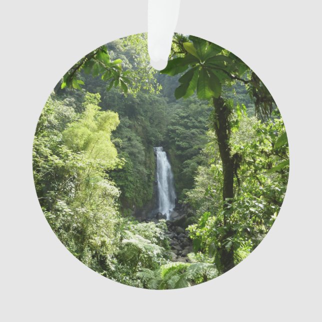 Ornamento Traffic Falls Tropical RainForest Fotografia (Frente)