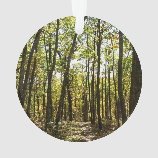 Ornamento Trilha Appalachian em outubro em Shenandoah (Verso)