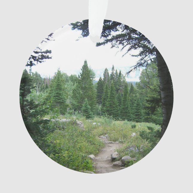 Ornamento Trilha Grand Teton (Frente)