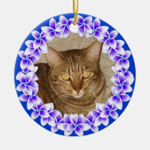 Ornamento tropical da foto dos leus do Plumeria