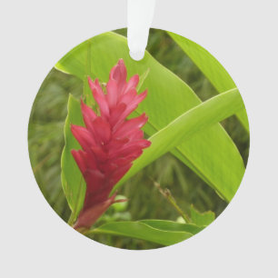 Ornamento Tropical de Flor Vermelho Ginger (Alpinia)