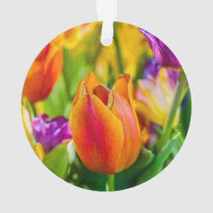 Ornamento Tulipas Encantando
