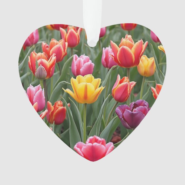 Ornamento Tulipas Holandesas (Frente)