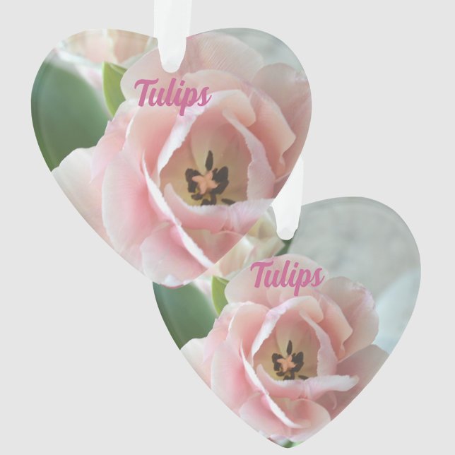 Ornamento Tulipas Rosa Pastel com Nome Botânico Floral (Criador carregado)