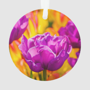 Ornamento Tulips Enchanting Violet