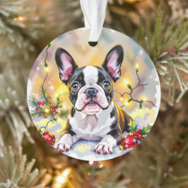 Ornamento Um Natal Doce de Boston Terrier