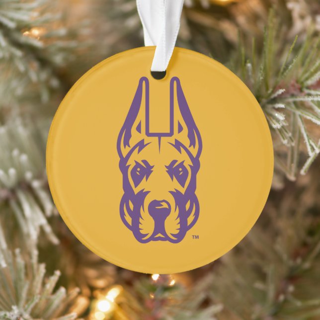 Ornamento Universidade de Albany Great Dane Mascot Head (Árvore)