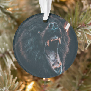 Ornamento Urso Irritado Dente Urso Negro