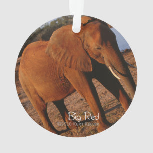 Ornamento Vermelho Grande