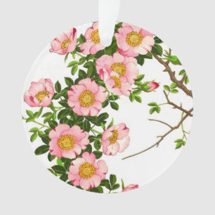 Ornamento Vintage - Blossomas de Cereja Japoneses, Rosa e Do