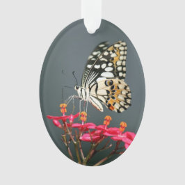 Ornamento "Voa" a poesia