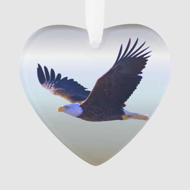 Ornamento Voando de Águia (Frente)