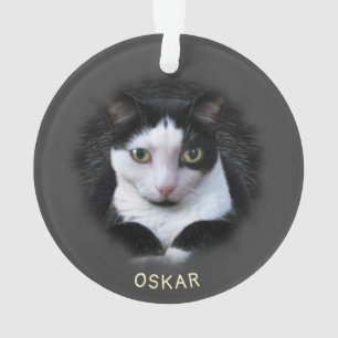 Ornamento w. 2 de suas Fotos e Nomes de Pet em acr