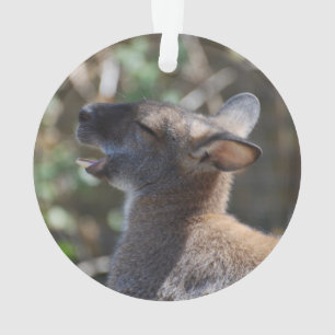Ornamento Wallaby bonito