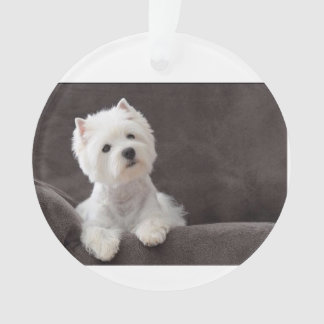 Ornamento Westie