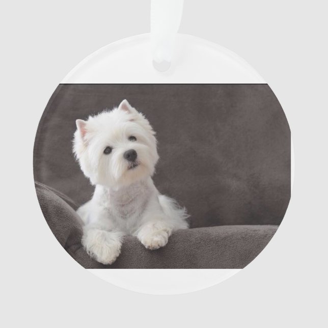 Ornamento Westie (Frente)
