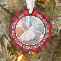 Westin Olhando uma janela