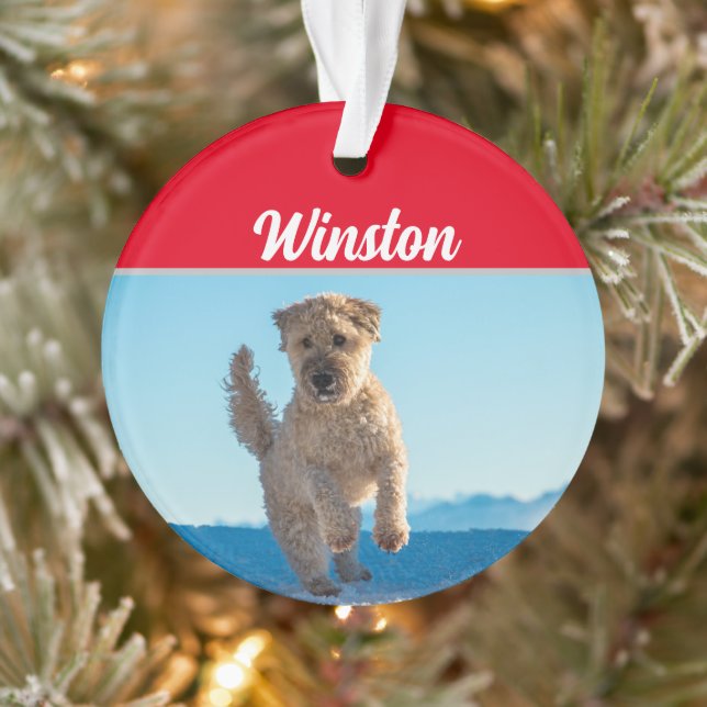 Ornamento Wheaten Terrier com nome e foto de Natal (Árvore)