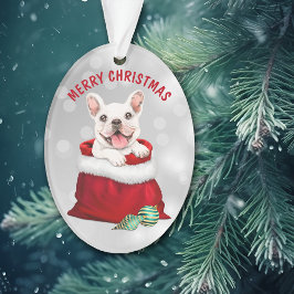 Ornamento White French Bulldog Surprise Ornament