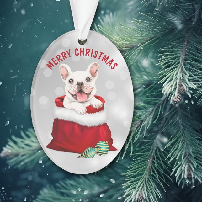 Ornamento White French Bulldog Surprise Ornament (Criador carregado)