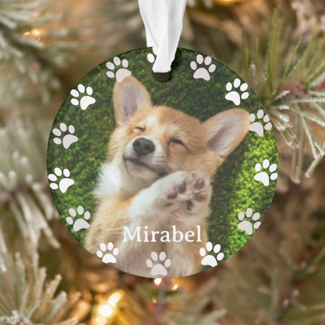 Ornamento White Paw Imprime Quadro Personalizado Pet Foto e  (Árvore)