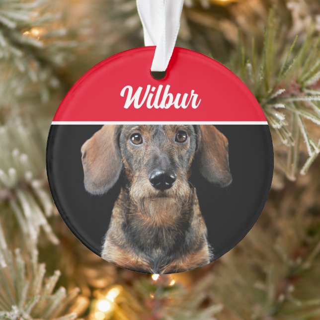 Ornamento Wirehaired Dachshund with Name and Photo Christmas (Árvore)