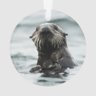 Ornamento Wise Otter