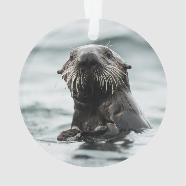Ornamento Wise Otter (Verso)
