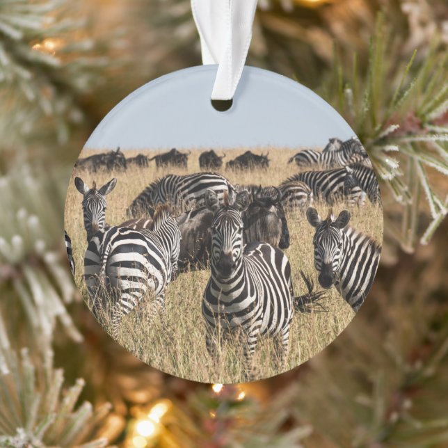Ornamento Zebra do Grant (Árvore)