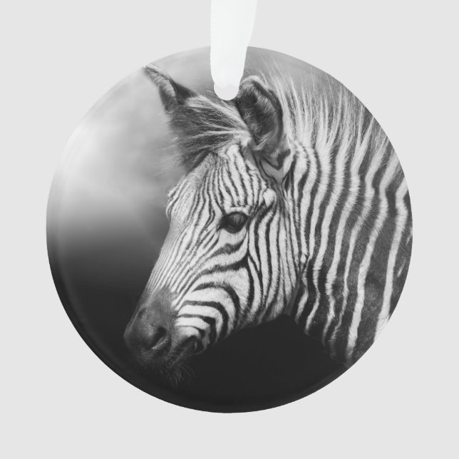 Ornamento Zebra Foal (Frente)