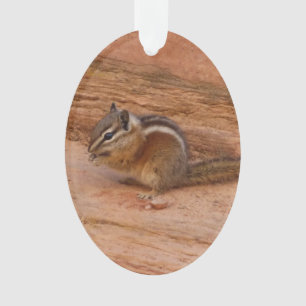 Ornamento Zion Chipmunk em Rochas Vermelhas