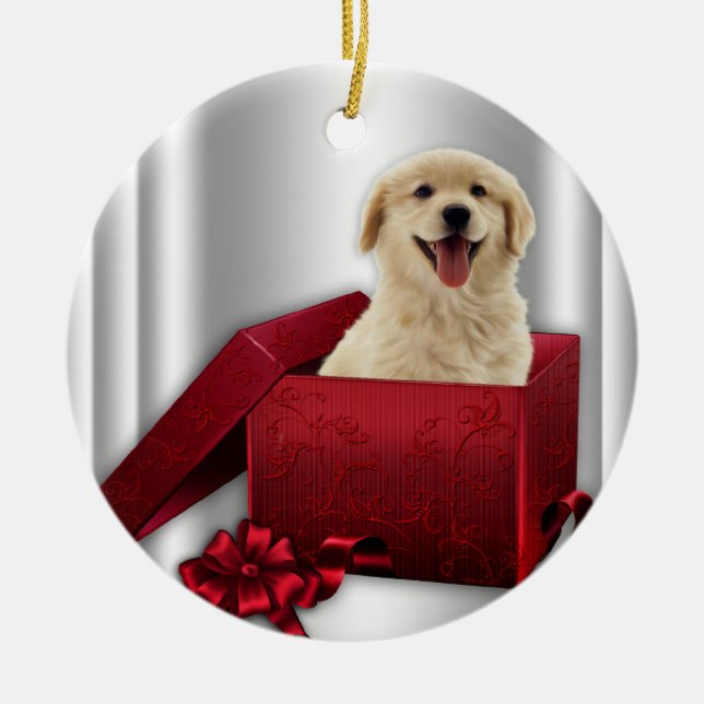 Ornamentos de Árvore de Natal para ouro Retriever (Frente)