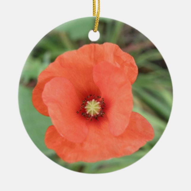 Ornamentos de Flor Selvagem (Frente)