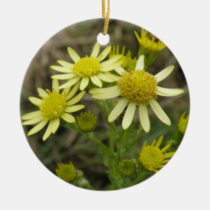 Ornamentos de Flores Amarelas bonito