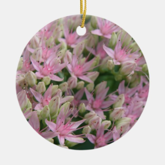 Ornamentos de Flores Tropicais bonito, Rosa (Frente)