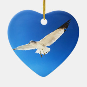 Ornamentos de Gaivota Belos, Ornados de Praias