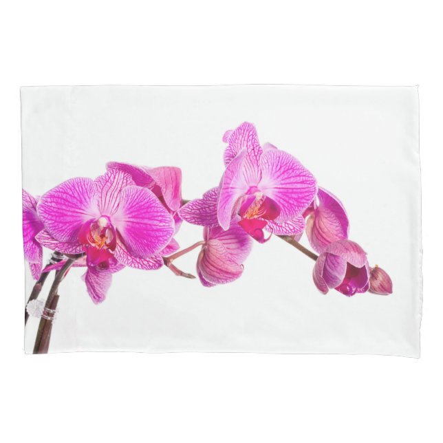 Orquídea (Frente)
