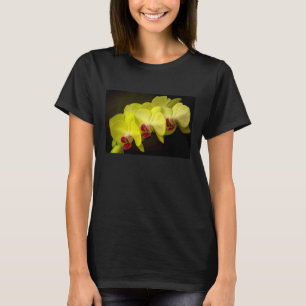 Orquídea Amarela - Camisa T