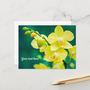 Orquídea Amarela em Cartão Postal Verde