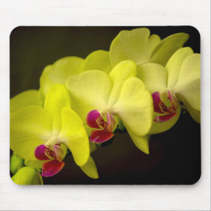 Orquídea amarela - Mousepad