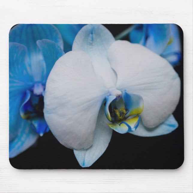 Orquídea azul Mousepad (Frente)
