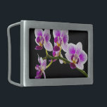 Orquídea branca e roxa<br><div class="desc">Uma bela orquídea branca e roxa.</div>