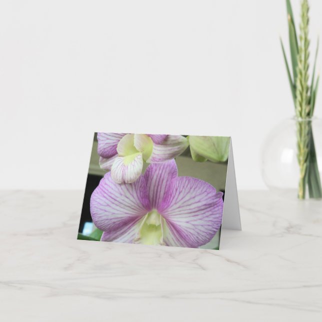Orquídea branca e roxa delicada em um Cartões de a (Frente)