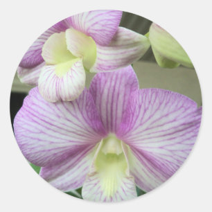 Orquídea branca e roxa delicada num adesivo