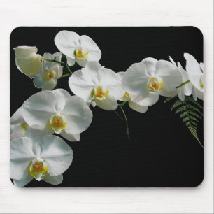 Orquídea branca Mousepad