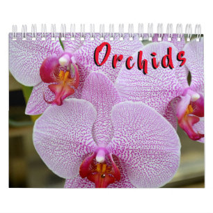 Orquídea calendário de 12 meses