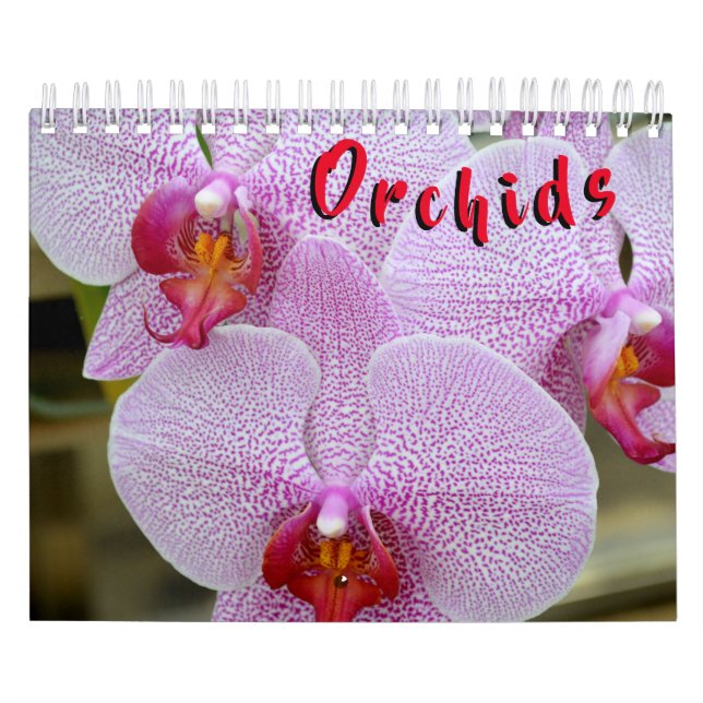 Orquídea calendário de 12 meses (Capa)
