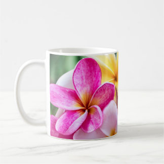 orquídea, caneca de flores opal do Havaí