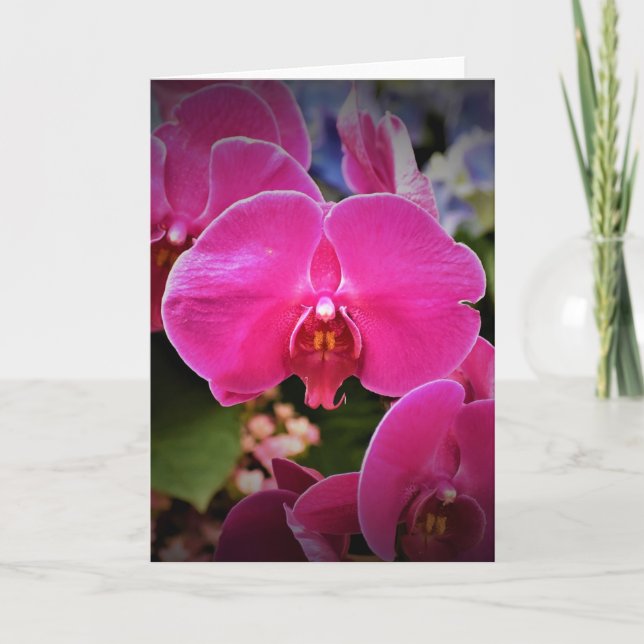 Orquídea, cartão (Frente)