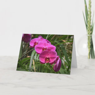 Orquídea, cartão